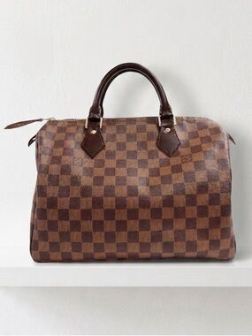 Louis Vuitton Damier Ebene Speedy 30 Custom Owl Accent
